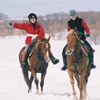 冬の乗馬ishikari